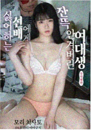 繁花电视剧